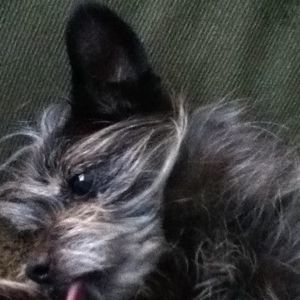 Meet your Posher, Deborah